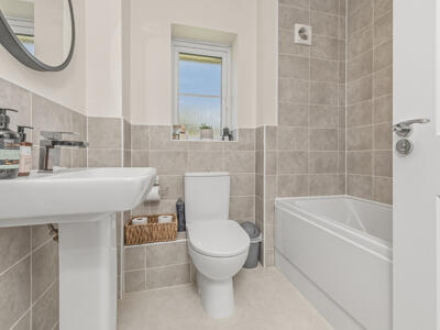 Picture 19
